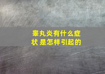 睾丸炎有什么症状 是怎样引起的